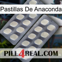 Anaconda Pills 07